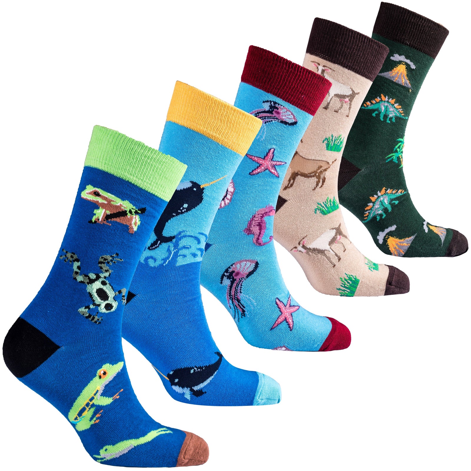 Animalia Men's Socks